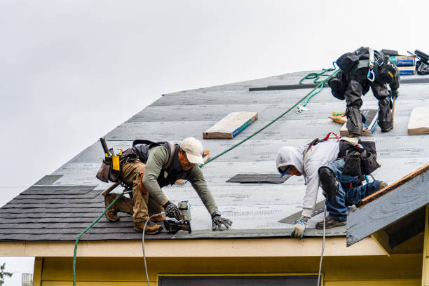 Professional Roofing technician working in Dexter, OR